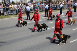 Fédération Nationale des Pompiers